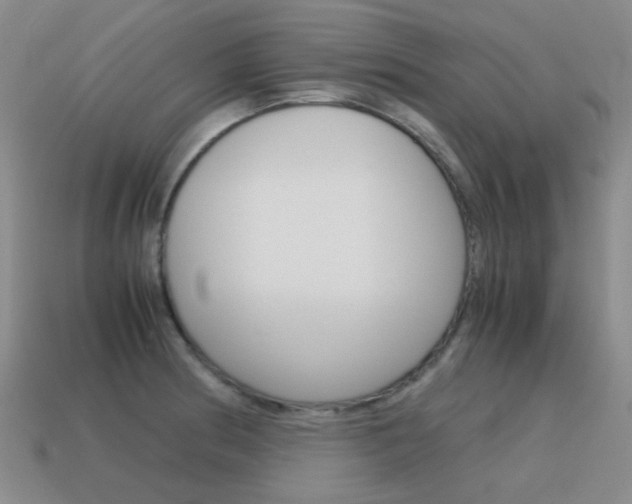 X0000115601186200911100945