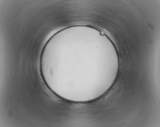 X0000115601187200911100945