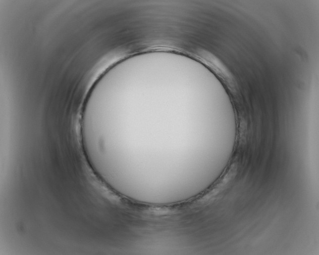 X0000115601190200911100945