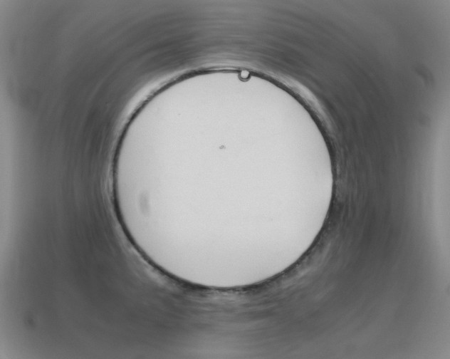 X0000115601191200911100945