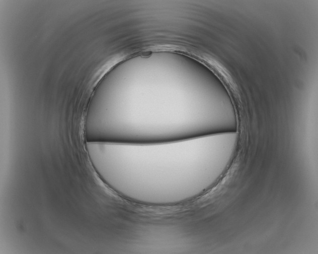 X0000115601193200911100945