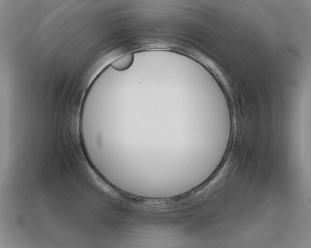 X0000115601194200911100945