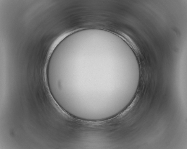 X0000115601196200911100945
