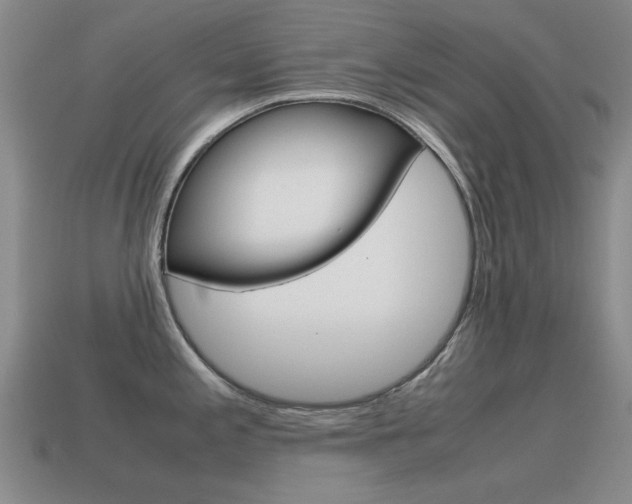 X0000115601197200911100945