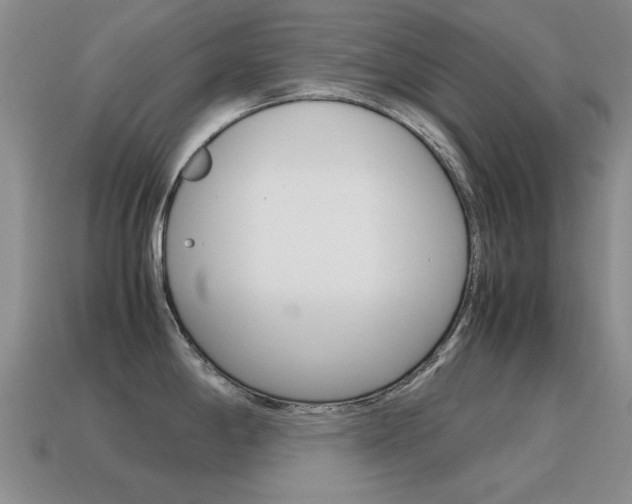 X0000115601198200911100945