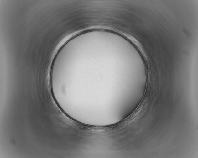 X0000115601199200911100945