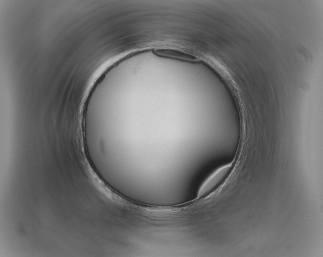 X0000115601200200911100945