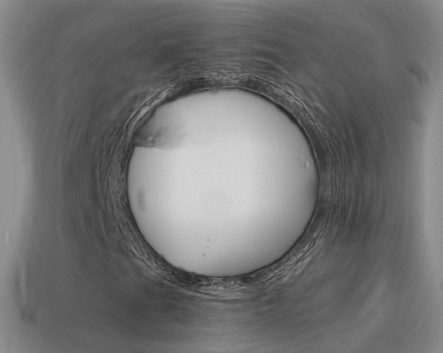 X0000115601201200911100945