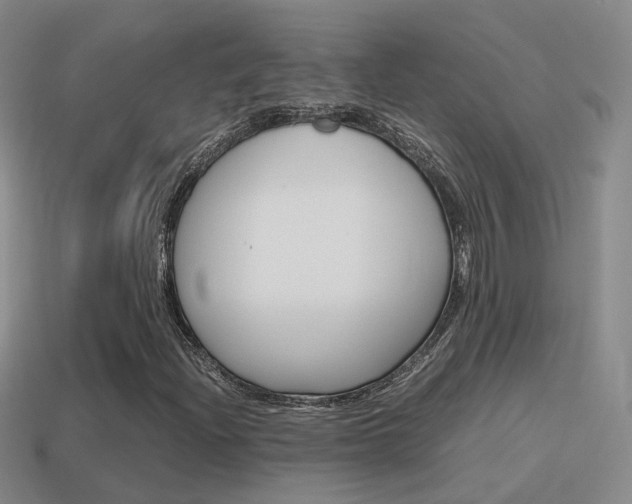 X0000115601204200911100945