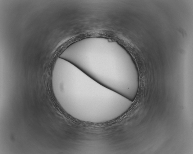 X0000115601206200911100945