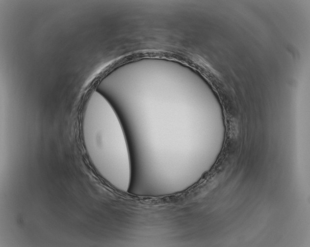 X0000115601208200911100945
