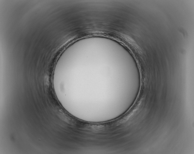 X0000115601209200911100945