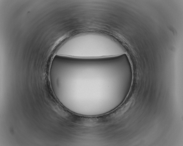 X0000115601210200911100945