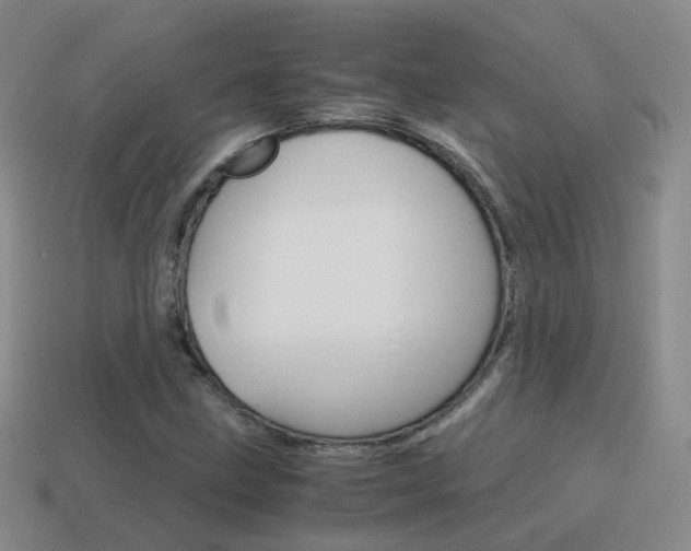 X0000115601211200911100945