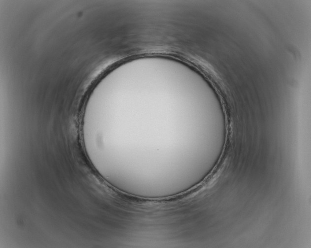 X0000115601212200911100945