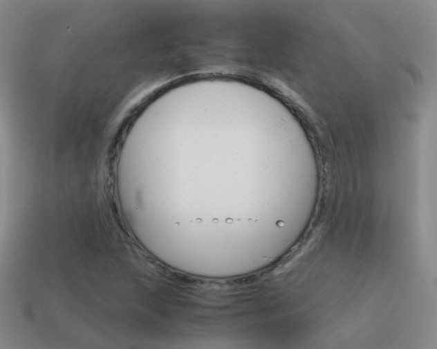 X0000115601215200911100945