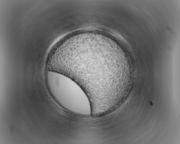 X0000115601216200911100945
