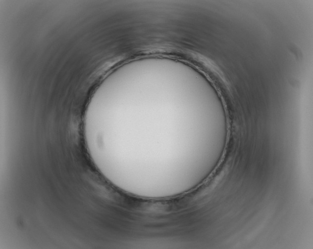 X0000115601217200911100945