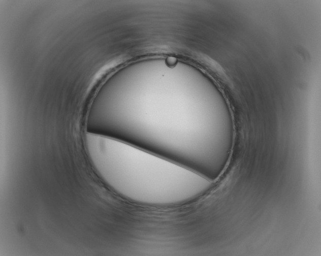 X0000115601218200911100945