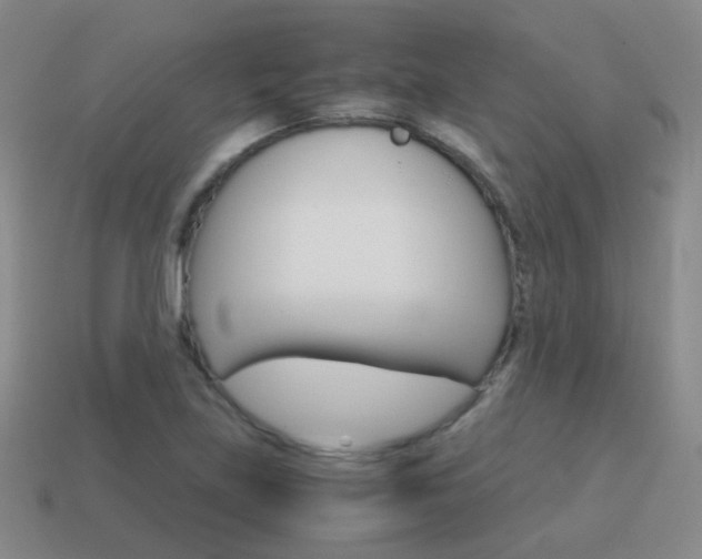 X0000115601219200911100945