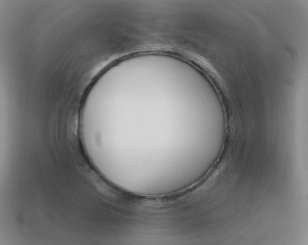 X0000115601220200911100945