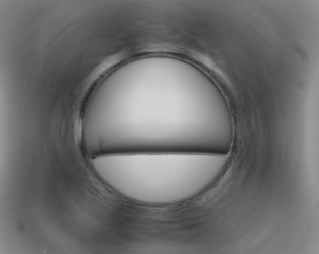 X0000115601221200911100945