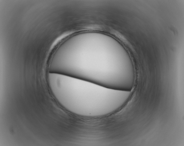 X0000115601222200911100945