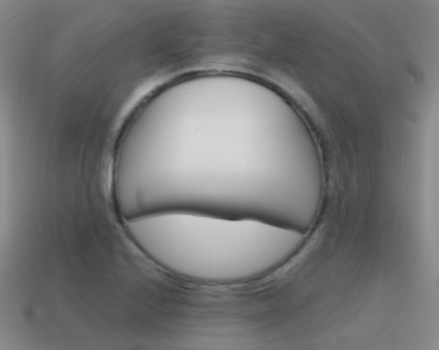 X0000115601224200911100945