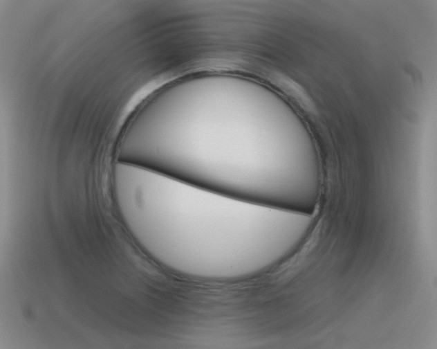 X0000115601226200911100945