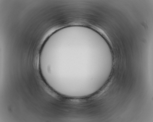 X0000115601227200911100945