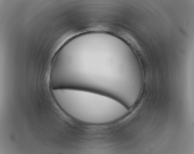X0000115601228200911100945