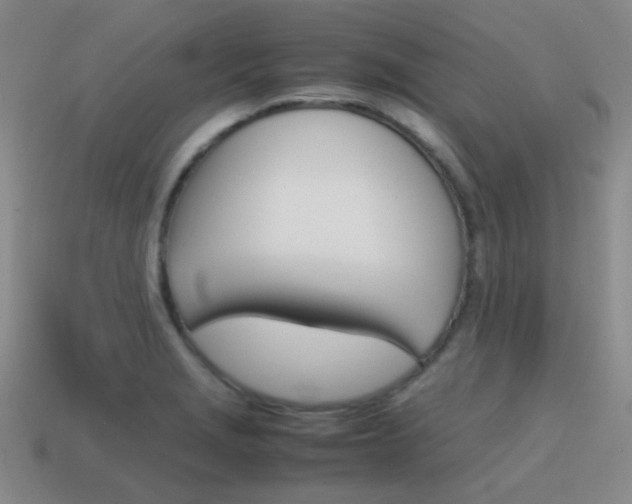 X0000115601229200911100945
