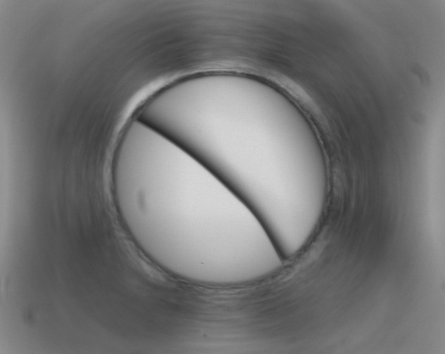 X0000115601230200911100945