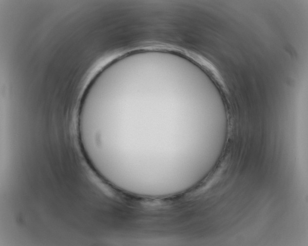 X0000115601231200911100945