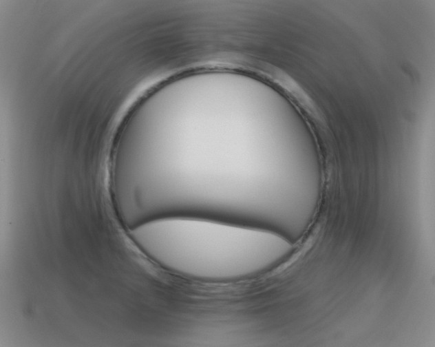 X0000115601232200911100945