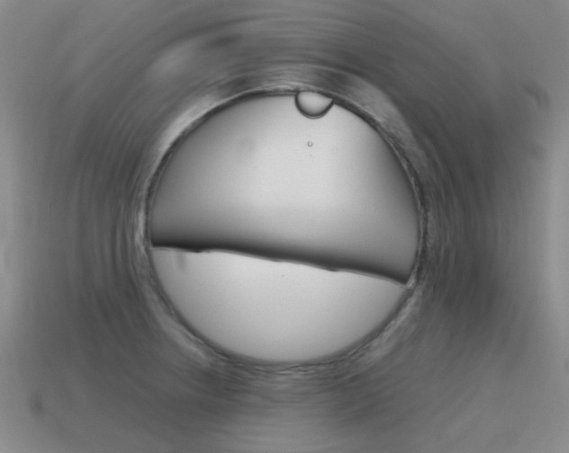 X0000115601234200911100945