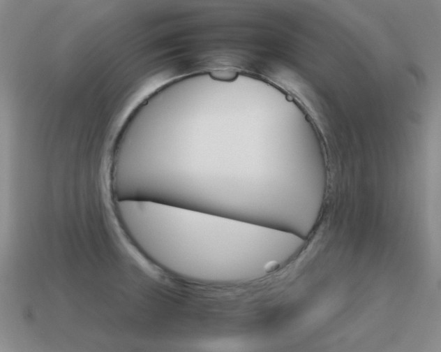 X0000115601235200911100945