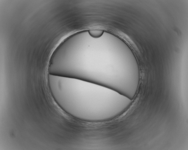 X0000115601236200911100945