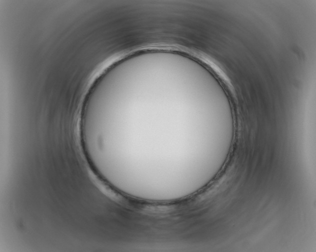 X0000115601237200911100945