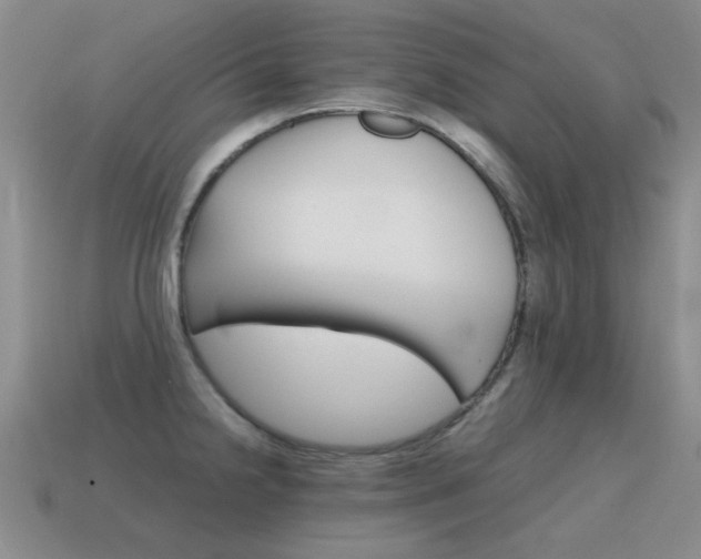 X0000115601238200911100945