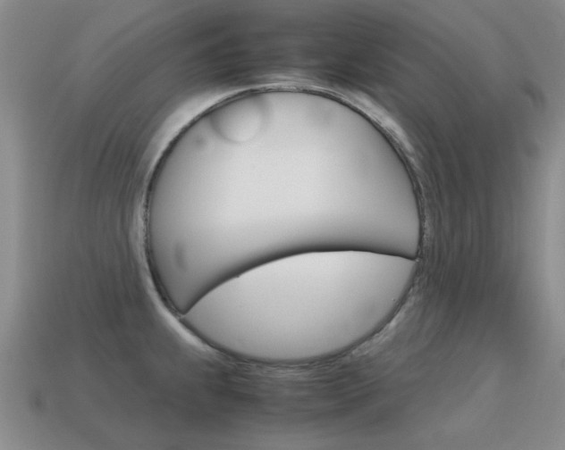 X0000115601239200911100945