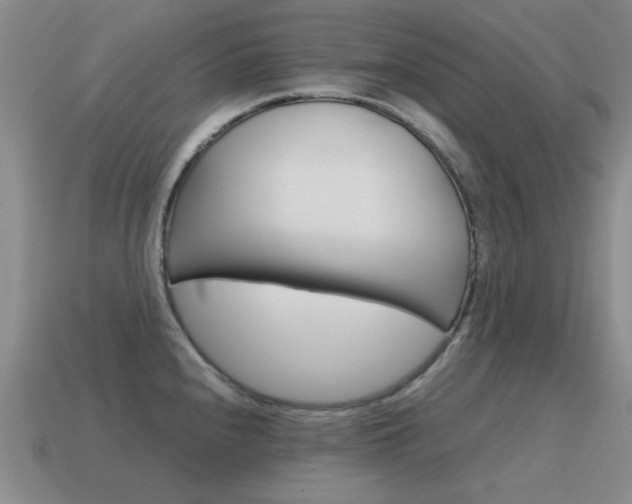 X0000115601240200911100945