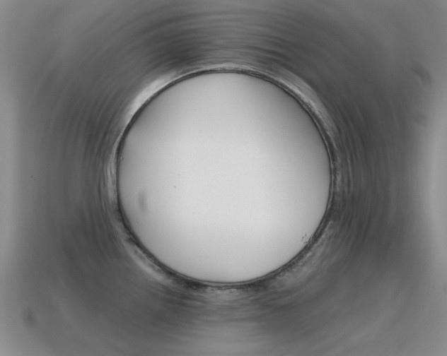 X0000115601242200911100945