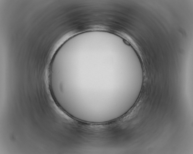 X0000115601243200911100945