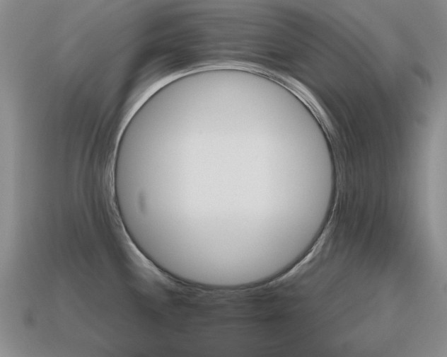 X0000115601244200911100945