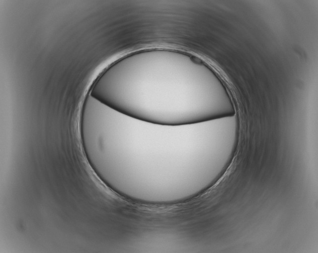X0000115601246200911100945