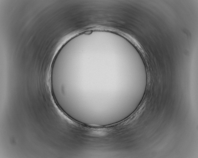 X0000115601247200911100945