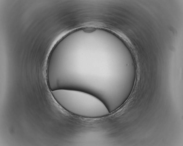 X0000115601248200911100945