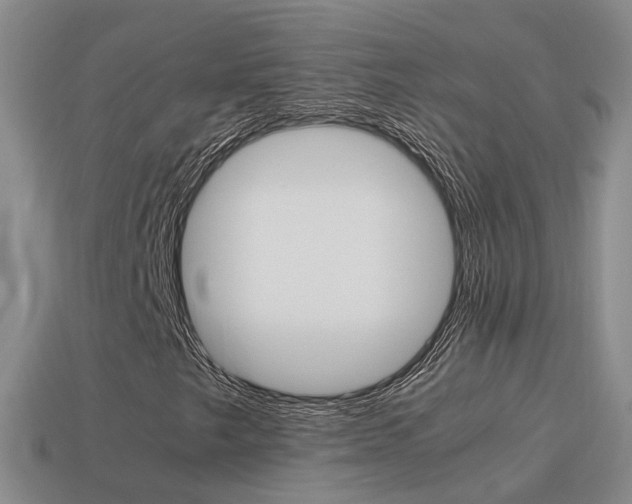 X0000115601249200911100945