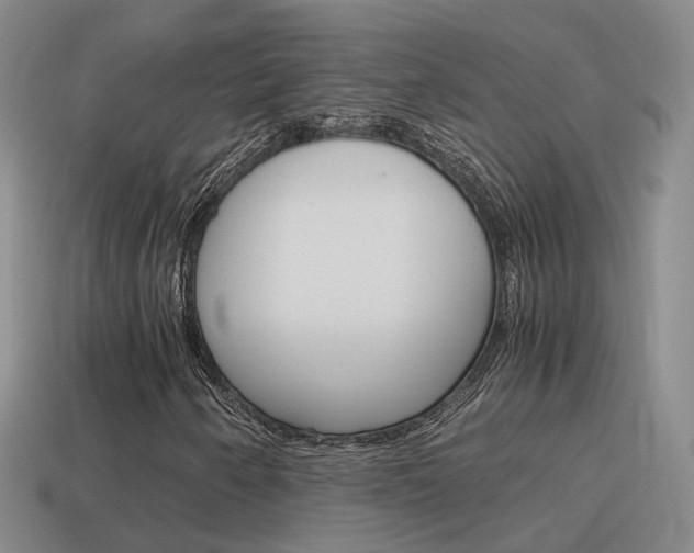 X0000115601250200911100945